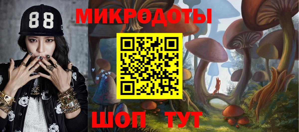 Галлюциногенные грибы Cubensis Тара