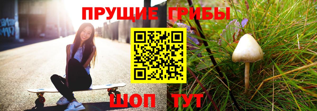 Псилоцибиновые грибы прущие грибы  Вход с VPN  Псилоцибиновые грибы мухоморы  Тара 
